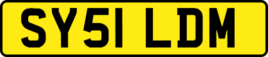 SY51LDM