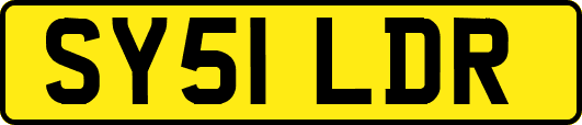 SY51LDR