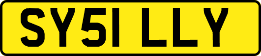 SY51LLY