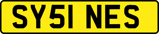 SY51NES