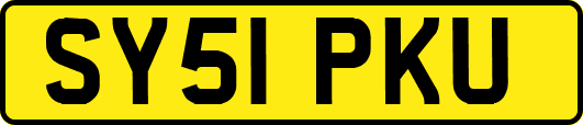 SY51PKU