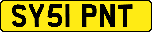 SY51PNT