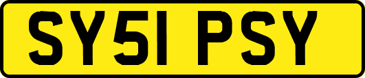 SY51PSY