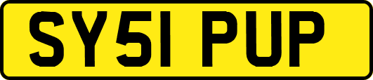 SY51PUP