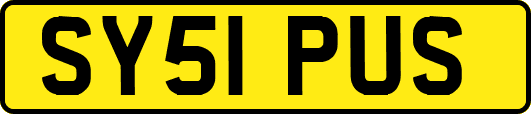 SY51PUS