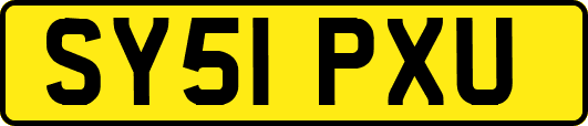 SY51PXU
