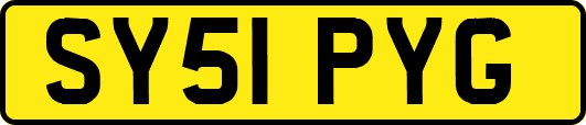 SY51PYG