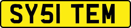 SY51TEM