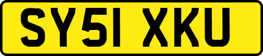 SY51XKU