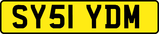 SY51YDM