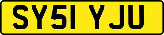 SY51YJU