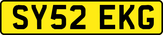 SY52EKG