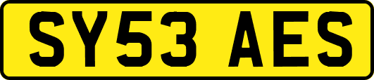 SY53AES