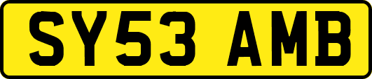 SY53AMB
