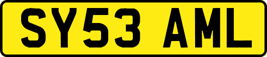 SY53AML