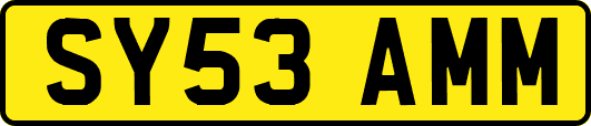 SY53AMM