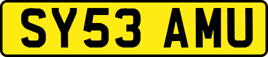 SY53AMU