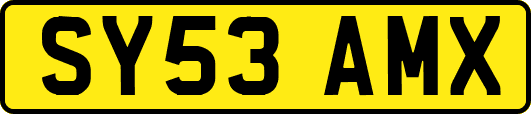 SY53AMX
