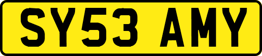 SY53AMY
