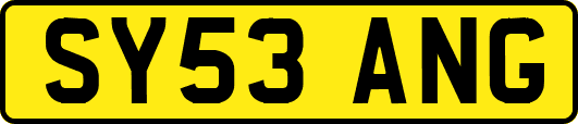 SY53ANG