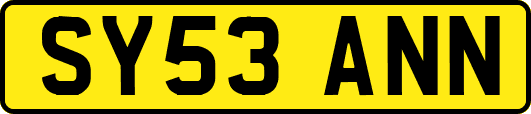 SY53ANN