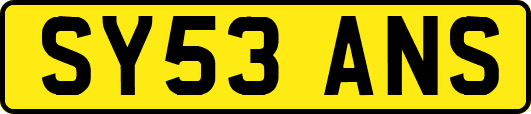 SY53ANS