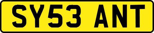 SY53ANT