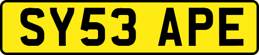 SY53APE