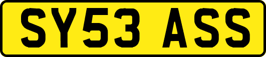 SY53ASS