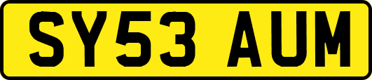 SY53AUM