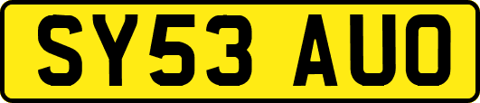 SY53AUO