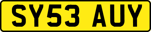 SY53AUY