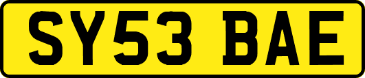 SY53BAE