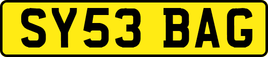SY53BAG