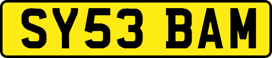 SY53BAM