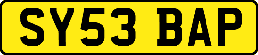 SY53BAP