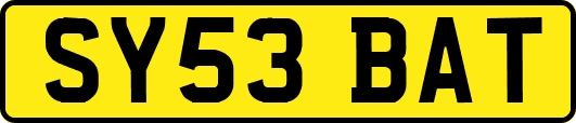 SY53BAT
