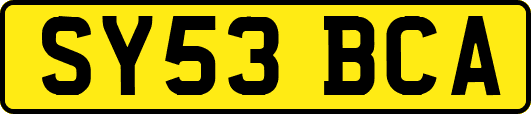 SY53BCA