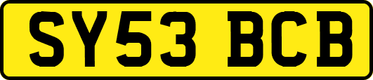 SY53BCB