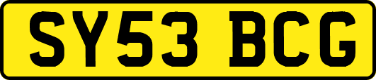 SY53BCG