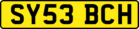SY53BCH
