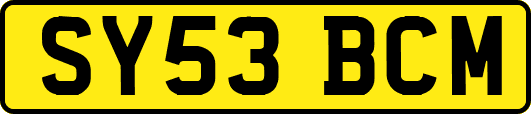 SY53BCM