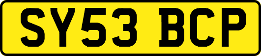 SY53BCP
