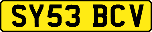 SY53BCV