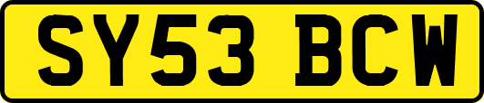 SY53BCW
