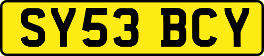 SY53BCY