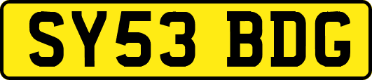 SY53BDG