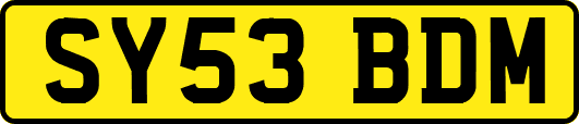 SY53BDM