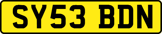 SY53BDN