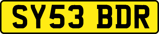 SY53BDR